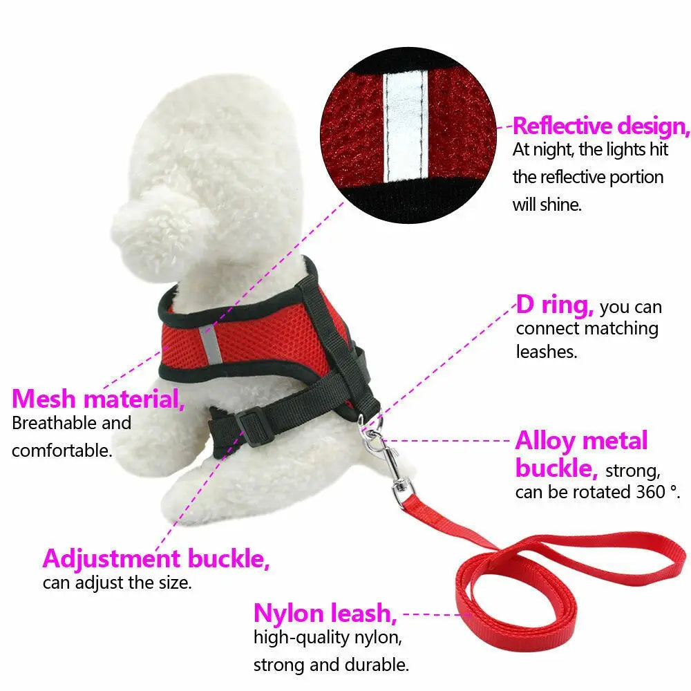 Breathable Fabric Mesh Dog Leash
