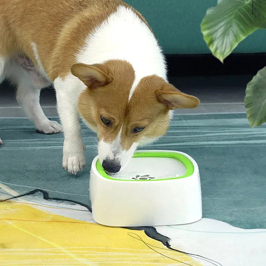 Not Wet Mouth Splash Water Dog Bowl