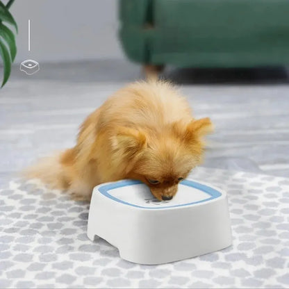 Not Wet Mouth Splash Water Dog Bowl