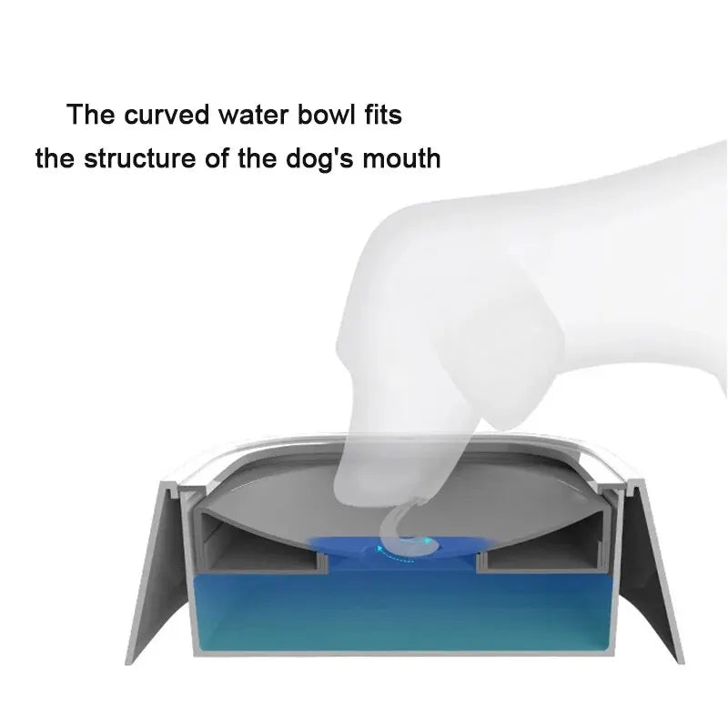 Not Wet Mouth Splash Water Dog Bowl