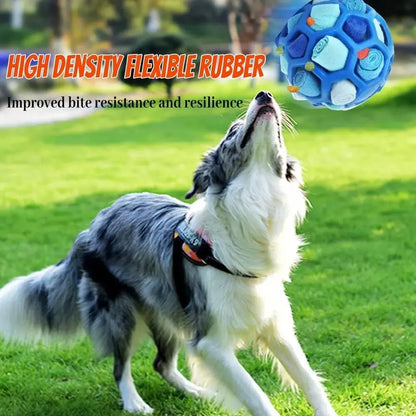 Interactive Sniffing Ball Dog Toy