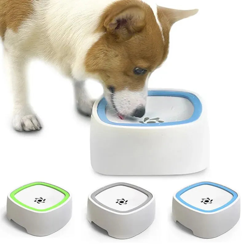 Not Wet Mouth Splash Water Dog Bowl