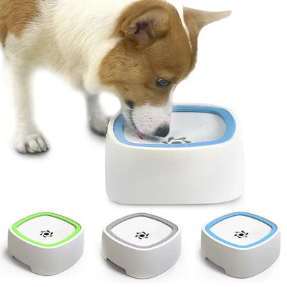 Not Wet Mouth Splash Water Dog Bowl